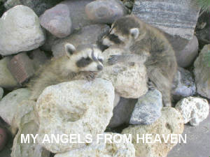 angels.jpg